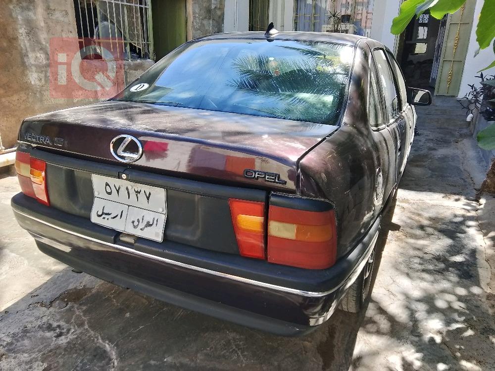 ئۆپڵ ڤێکترا